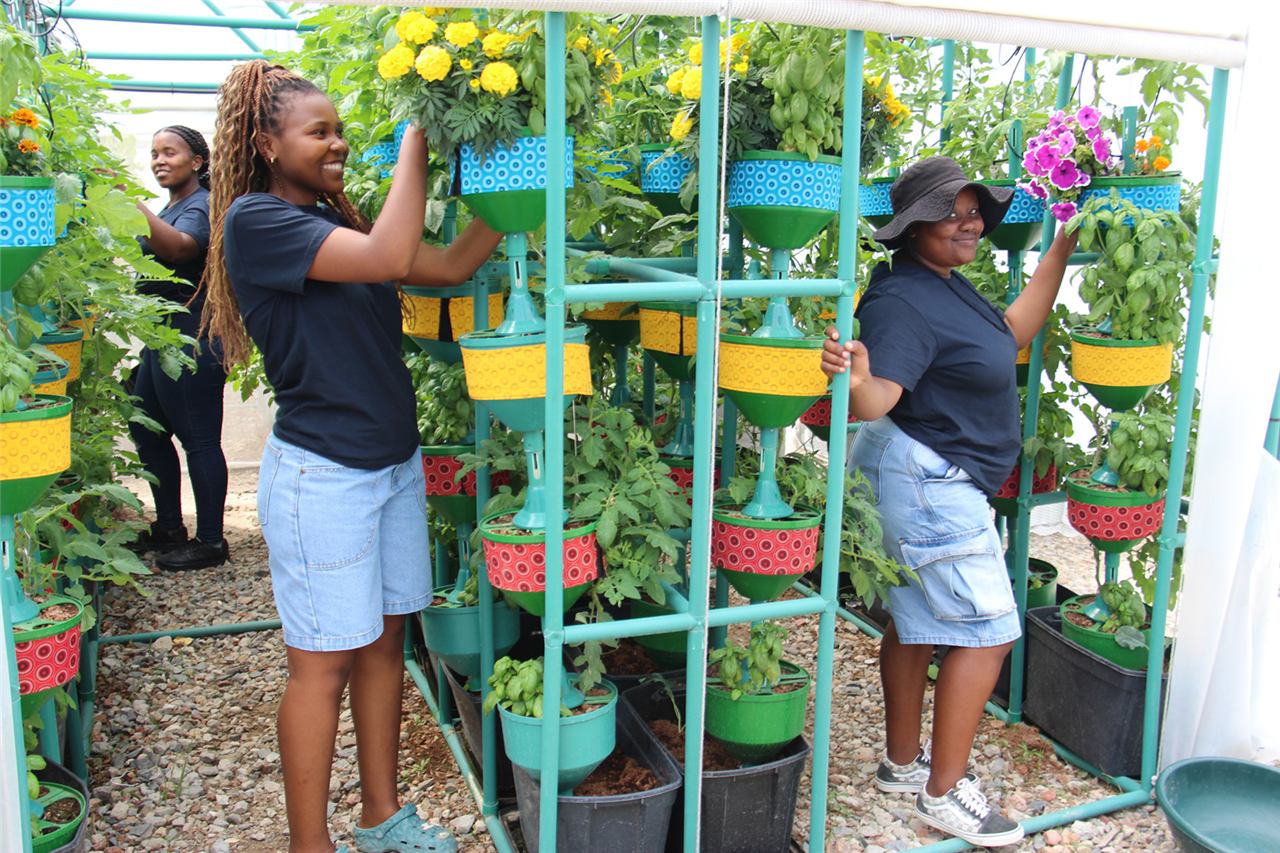 Agripreneurs training at HOPE