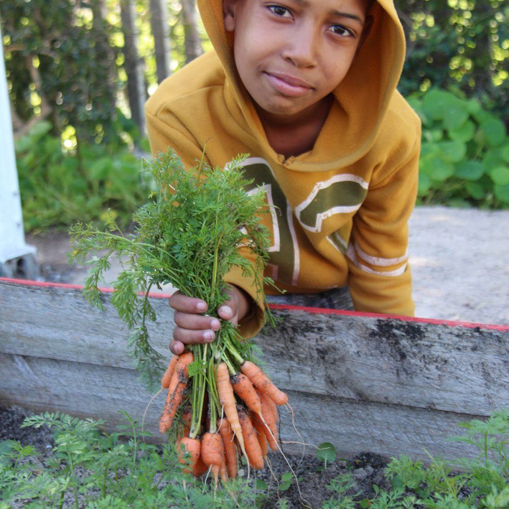 Community garden in Blikkiesdorp